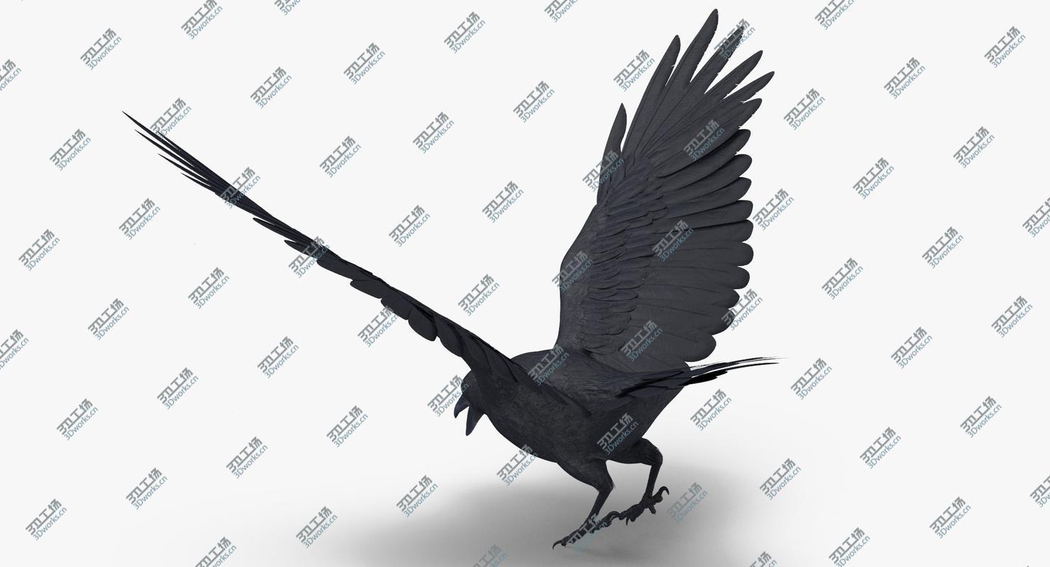 images/goods_img/2021040232/Crow 02/5.jpg